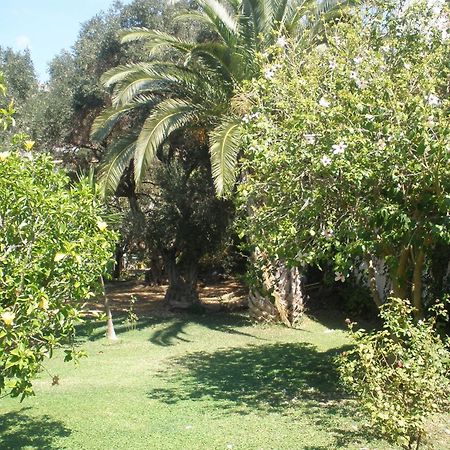 Livadi Apartments Plakias Bagian luar foto