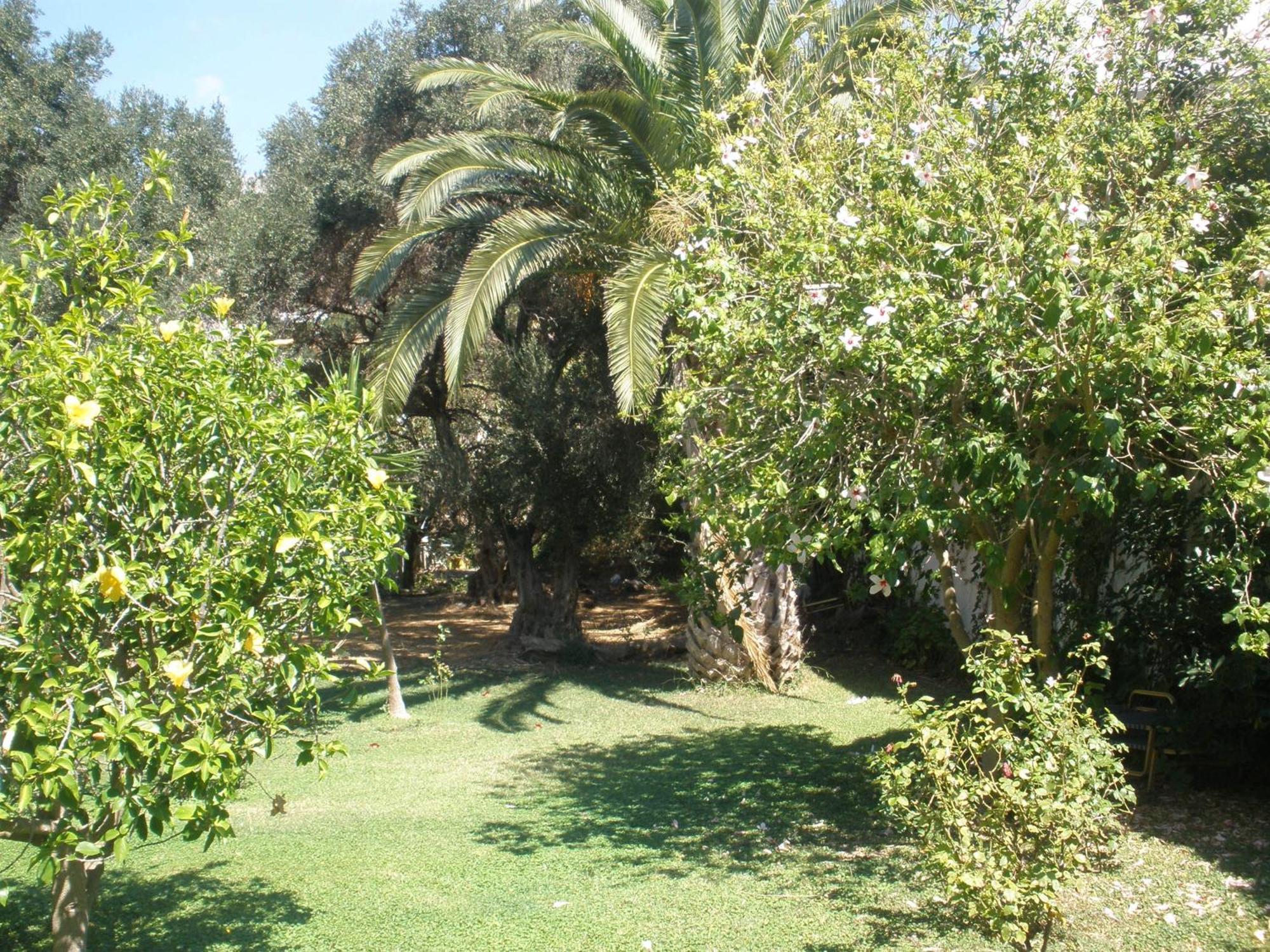 Livadi Apartments Plakias Bagian luar foto
