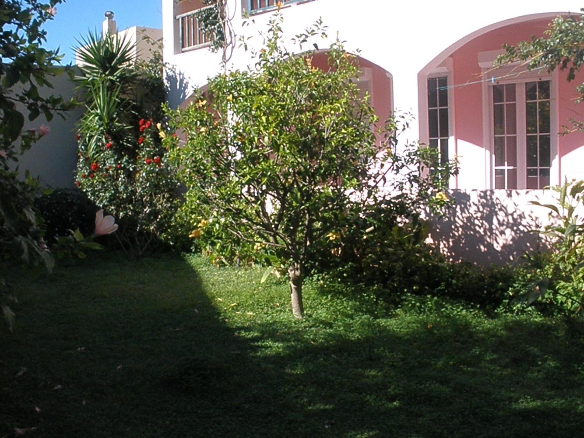 Livadi Apartments Plakias Bagian luar foto