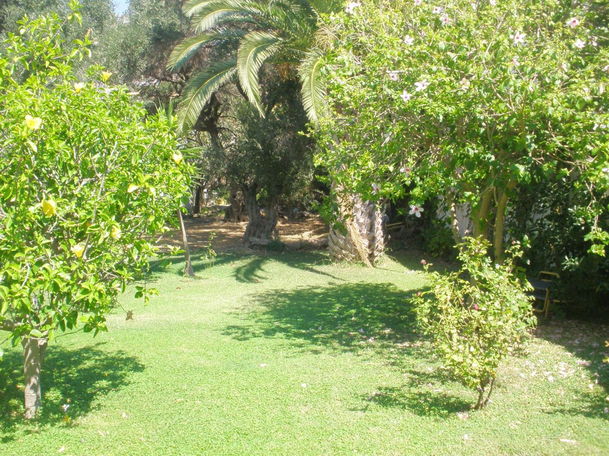 Livadi Apartments Plakias Bagian luar foto