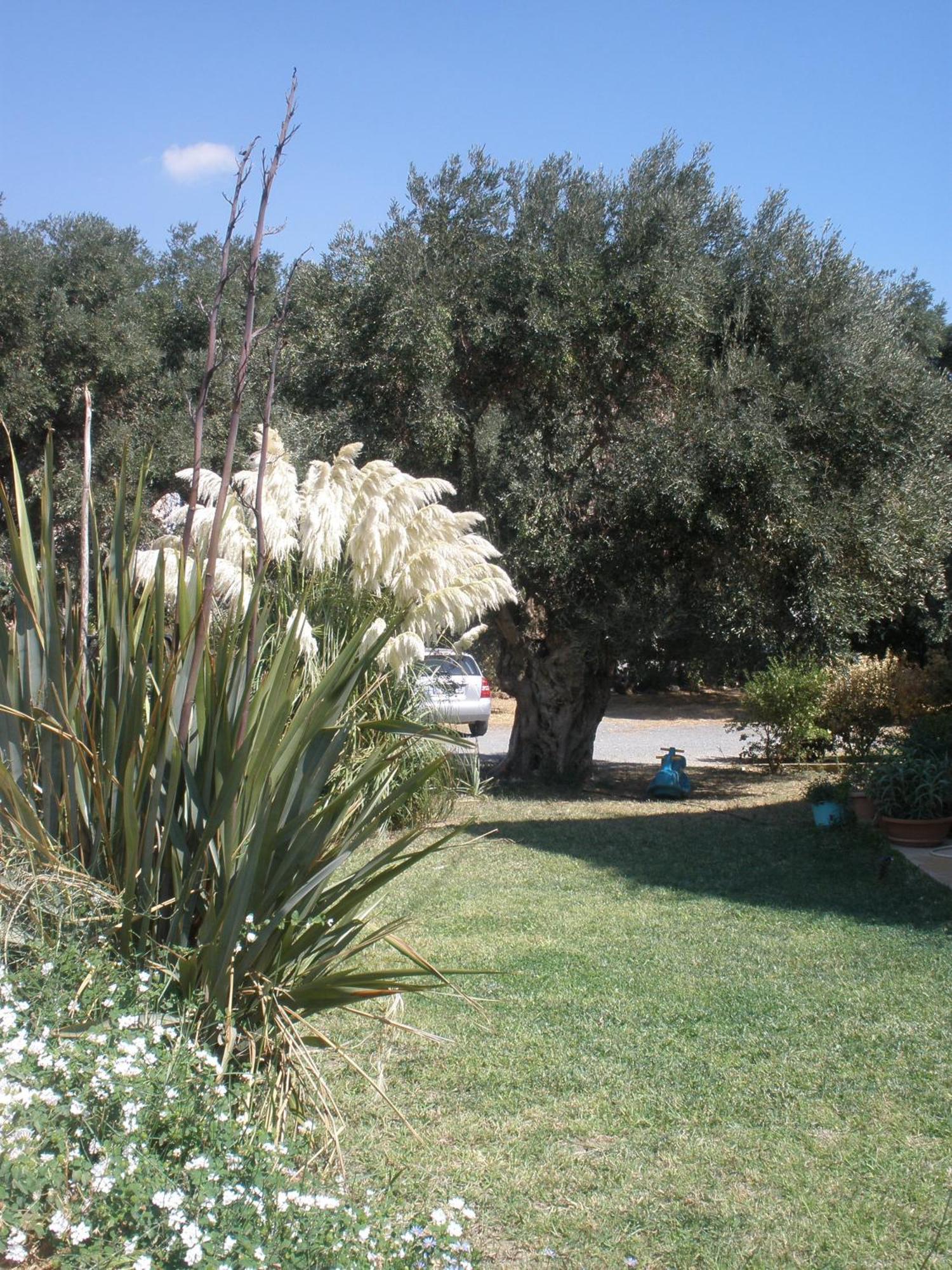 Livadi Apartments Plakias Bagian luar foto