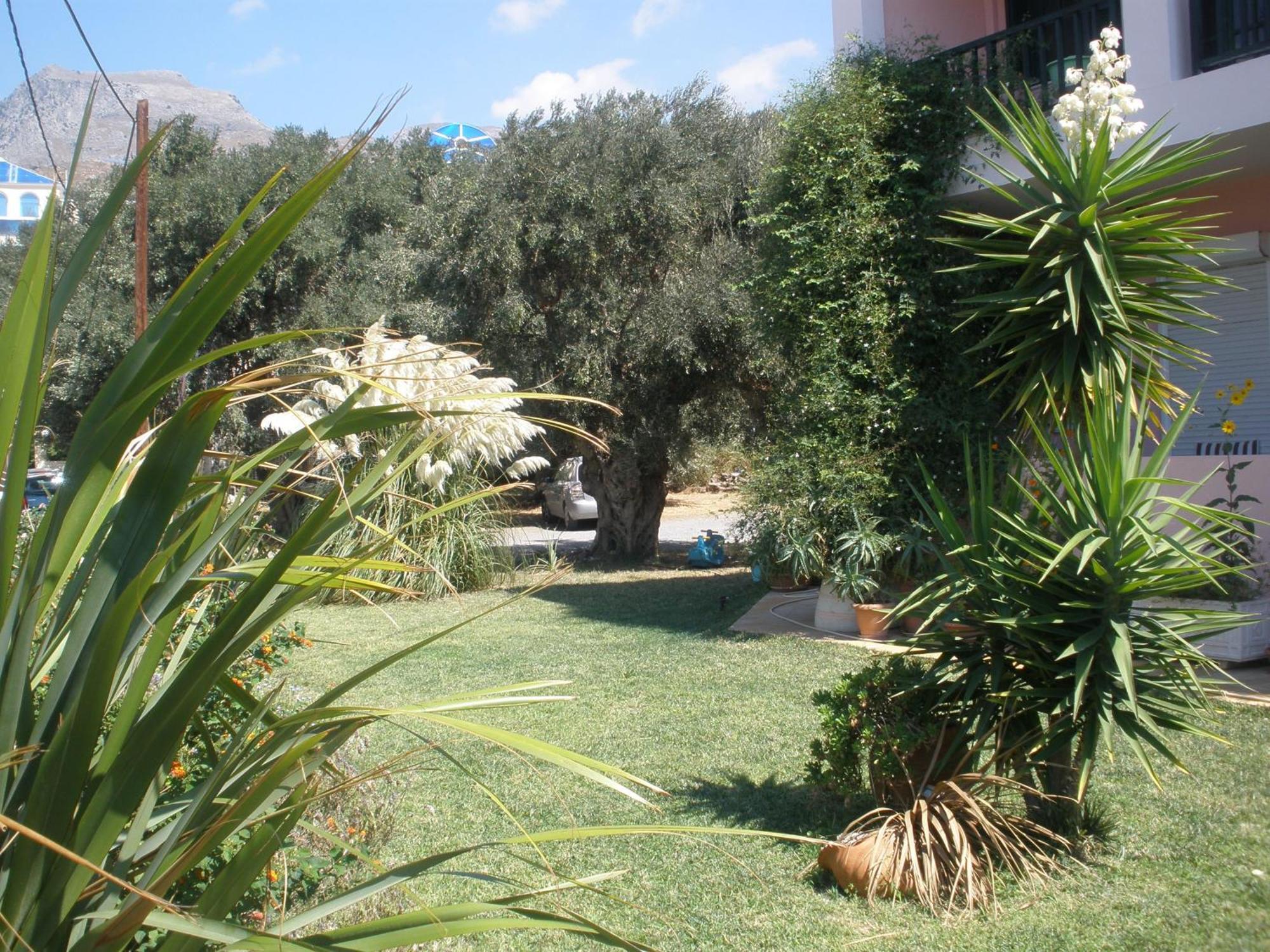 Livadi Apartments Plakias Bagian luar foto