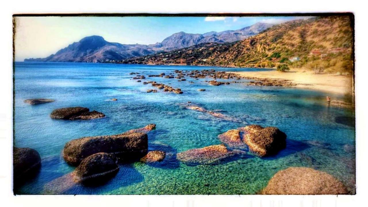 Livadi Apartments Plakias Bagian luar foto